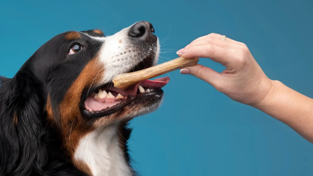Can Dog Eat Celery? Unveiling the Leafy Green's Impact on Canine Health