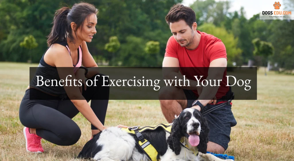 Benefits of Exercising with Your Dog